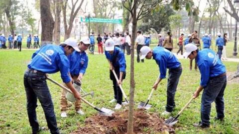 Hà Nội: Tổ chức Tết trồng cây Xuân Tân Sửu 2021 phải tuân thủ quy định phòng, chống dịch
