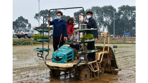 Lãnh đạo thành phố Hà Nội xuống đồng, động viên bà con nông dân ngày đầu năm