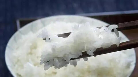 Càng lớn tuổi, càng nên ăn ít tinh bột đi? Nghiên cứu mới nhất chỉ ra rằng hóa ra trước giờ chúng ta vẫn nghĩ và làm sai