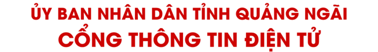 mau vhv.vn