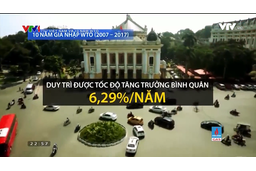 Hội nhập: Việt Nam và 10 năm WTO