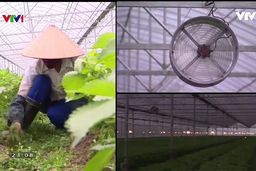 Hội nhập: Thị trường cho nông sản mới 