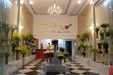 Giới thiệu Shop
