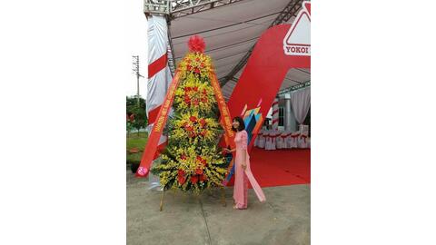 Hoa mừng khai trương