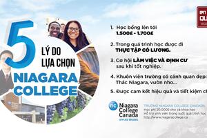 NIAGARA COLLEGE- NGÔI TRƯỜNG LÝ TƯỞNG DÀNH CHO CÁC BẠN DU HỌC SINH CANADA