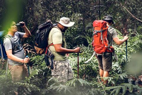 TOP HIKING TRAILS IN THE PERUVIAN AMAZON RAIN FOREST