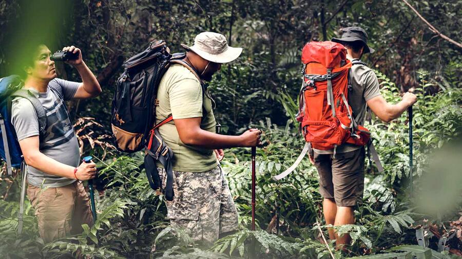 TOP HIKING TRAILS IN THE PERUVIAN AMAZON RAIN FOREST