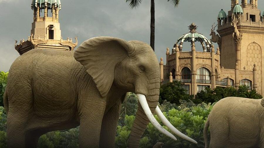 Travel Guide: 24 hours in India