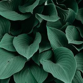 insta_6_04f9a