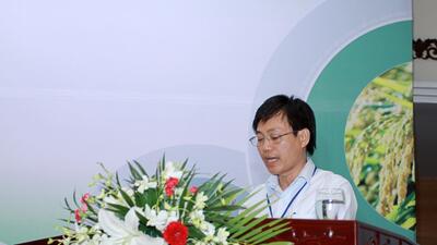 24210218_504652593267008_7686502446761972297_o