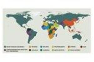 Sự khác nhau về “Top 10” nguyên nhân tử vong giữa các quốc gia trên toàn cầu