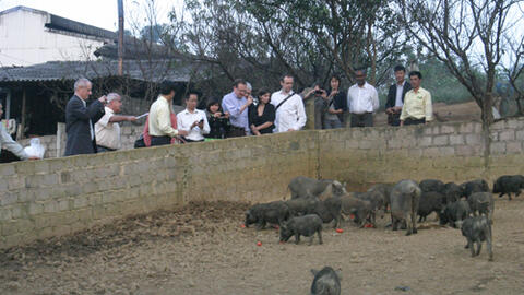 Cung ứng cây, con giống