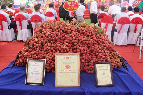 Khai mạc Lễ hội vải thiều Thanh Hà - Hải Dương 2018