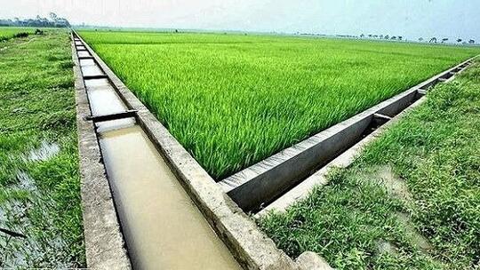 <a href="/hcc0037/hoi-vien-nha-bao" title="Hội viên - Nhà báo" rel="dofollow">Hội viên - Nhà báo</a>