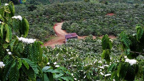 Khám Phá "Vịnh Hạ Long của Tây Nguyên" : Đắk Nông - Tà Đùng