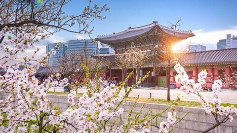 Du lịch Hàn Quốc: Seoul - Nami - Everland - Hero Show (Bay thẳng với hàng không 4*)