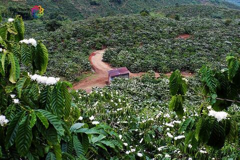 Khám Phá "Vịnh Hạ Long của Tây Nguyên" : Đắk Nông - Tà Đùng
