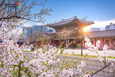 Du lịch Hàn Quốc: Seoul - Nami - Everland - Hero Show (Bay thẳng với hàng không 4*)