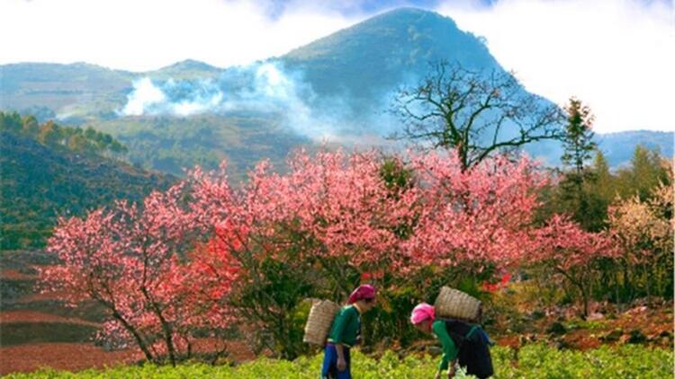 Du Lịch Miền Bắc