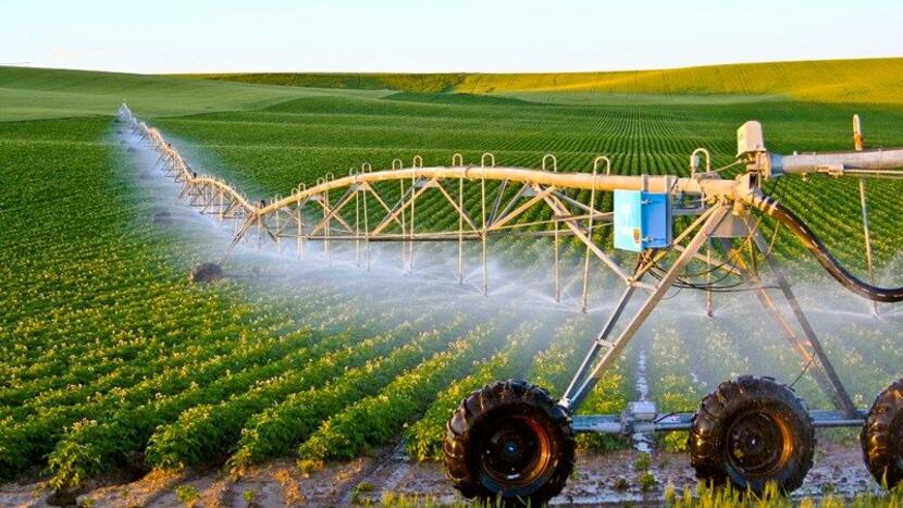 Kinh nghiệm của Israel về ứng dụng công nghệ cao trong sản xuất nông nghiệp