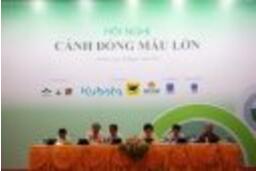 Cánh Đồng Mẫu Lớn