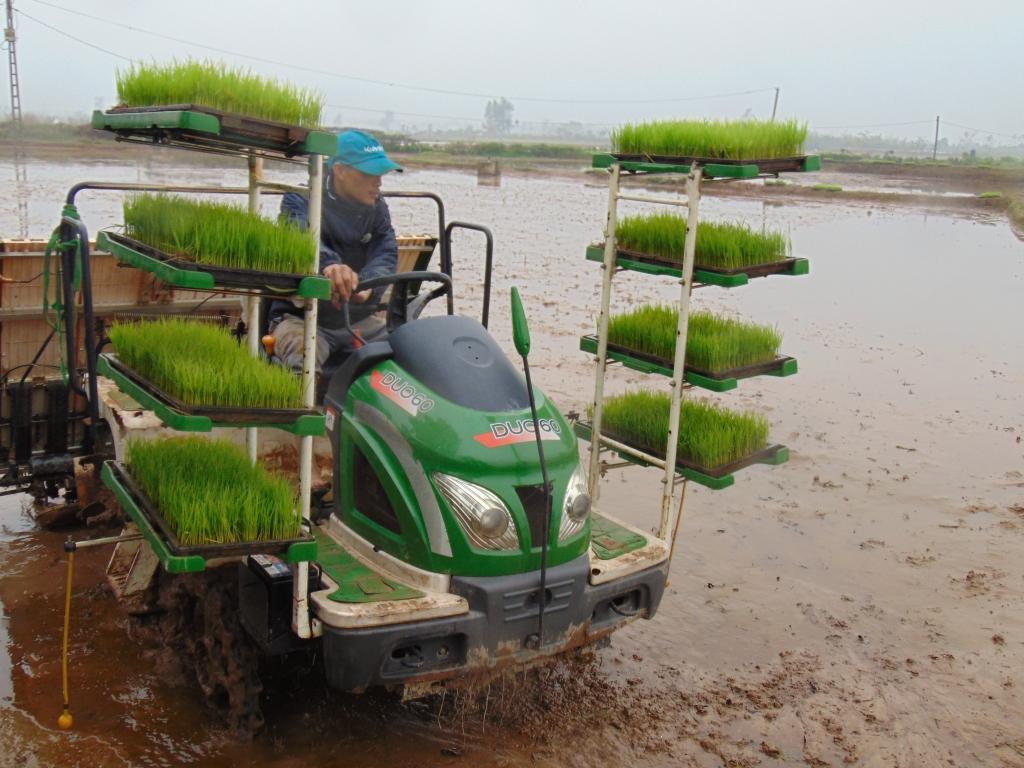 Nông dân ngoại thành Hà Nội rục rịch xuống đồng chuẩn bị gieo cấy lúa Xuân