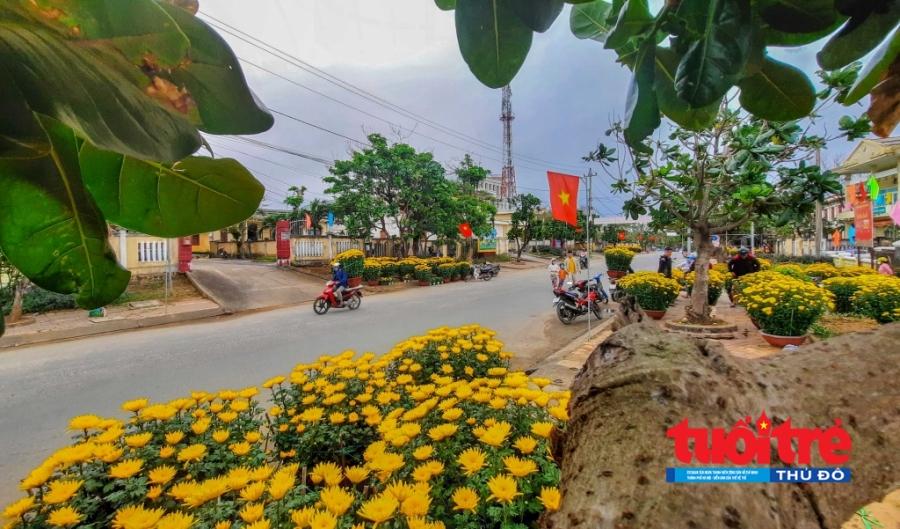 Quảng Ngãi: Giảm khoảng 50% lượng người dân về Lý Sơn đón Tết