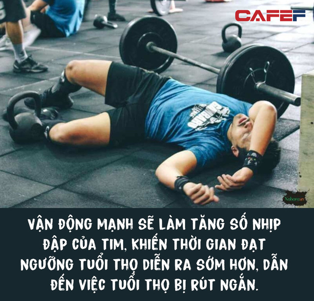 Phương pháp đi bộ trong 5 phút nhưng đạt hiệu quả như đi 10.000 bước: Giúp giảm cân, hạ huyết áp và kéo dài tuổi thọ, đơn giản nhưng không phải ai cũng biết - Ảnh 3.