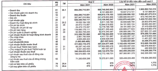 Đất Xanh Services (DXS) báo lãi 9 tháng đạt 894 tỷ đồng, tăng 24% so với cùng kỳ - Ảnh 1.