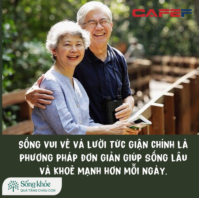 Sau 50 tuổi, càng lười càng sống lâu : 3 lười giúp kéo dài tuổi thọ thêm 20 năm, nếu có được 2 điều trong số đó cũng rất tốt rồi - Ảnh 1.