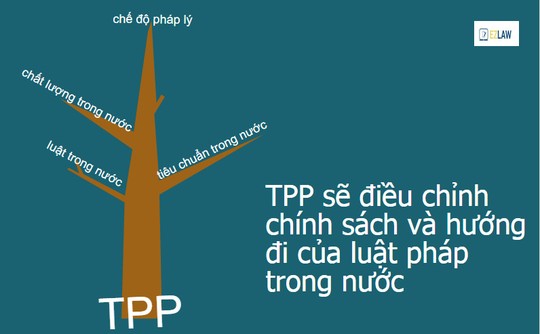 10 kiến thức căn bản về hiệp định TPP