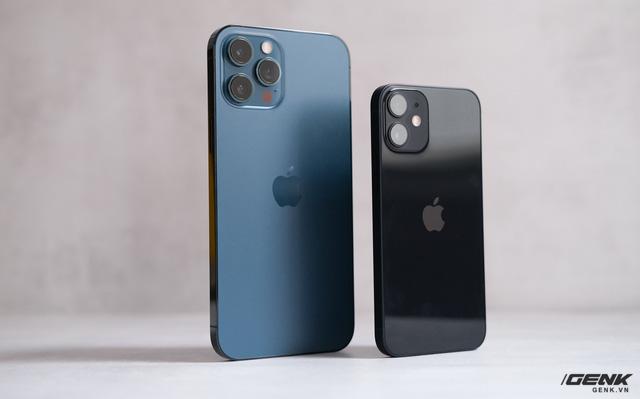 Bình chọn ảnh chụp từ iPhone 12 mini và iPhone 12 Pro Max: Bạn có nhận ra sự khác biệt của cả hai?