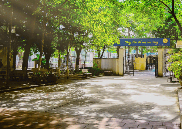 50 năm truyền thống