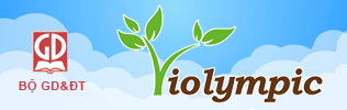 Liên kết website