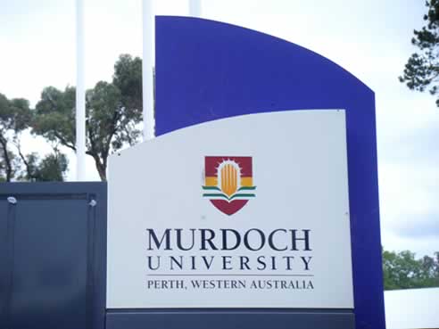 Trường Murdoch University